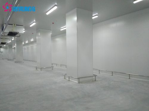 建造100萬(wàn)斤鮮玉米保鮮冷庫(kù)與相關(guān)建筑材料供應(yīng)指南